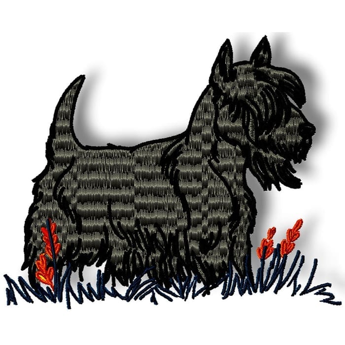 Scottish Terrier Realistic