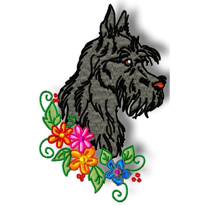 Scottish Terrier Realistic