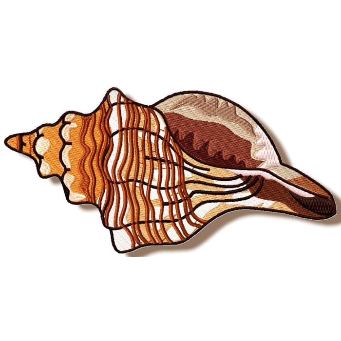 Shells