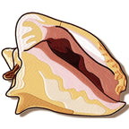 Shells