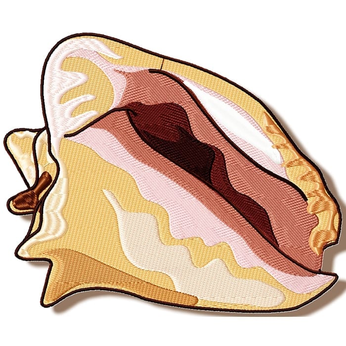 Shells