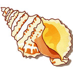 Shells