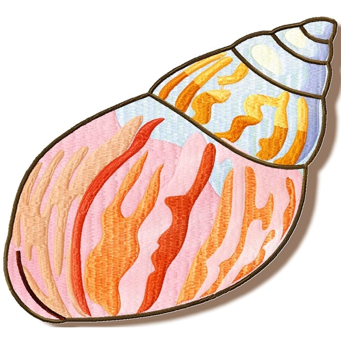 Shells