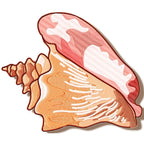 Shells
