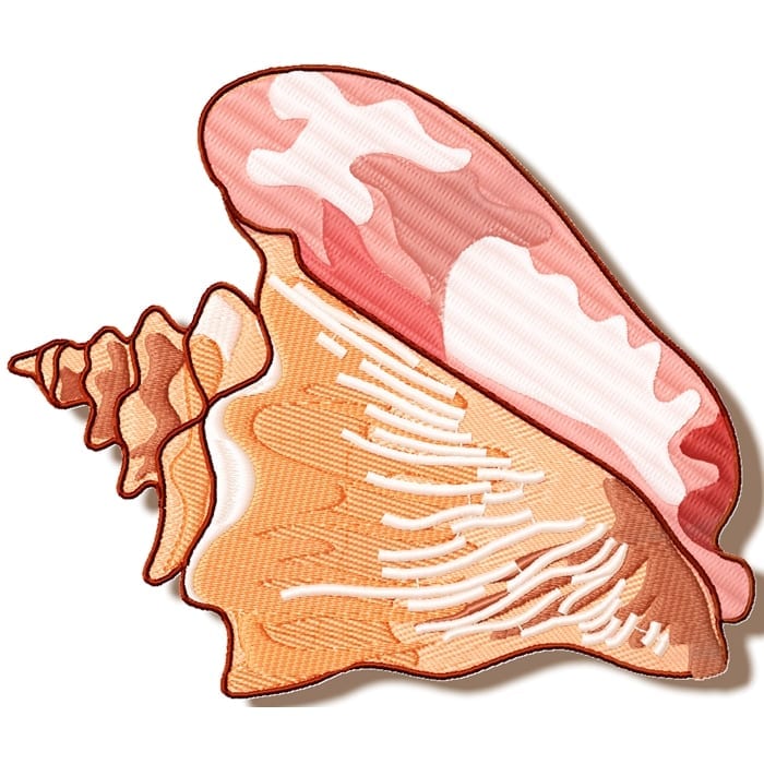Shells
