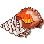 Shells
