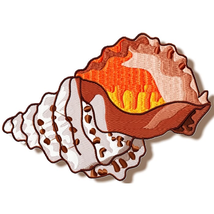 Shells