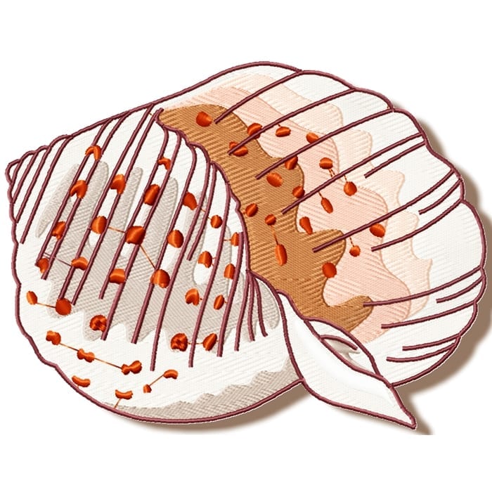 Shells