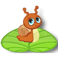 Turtle and Snail