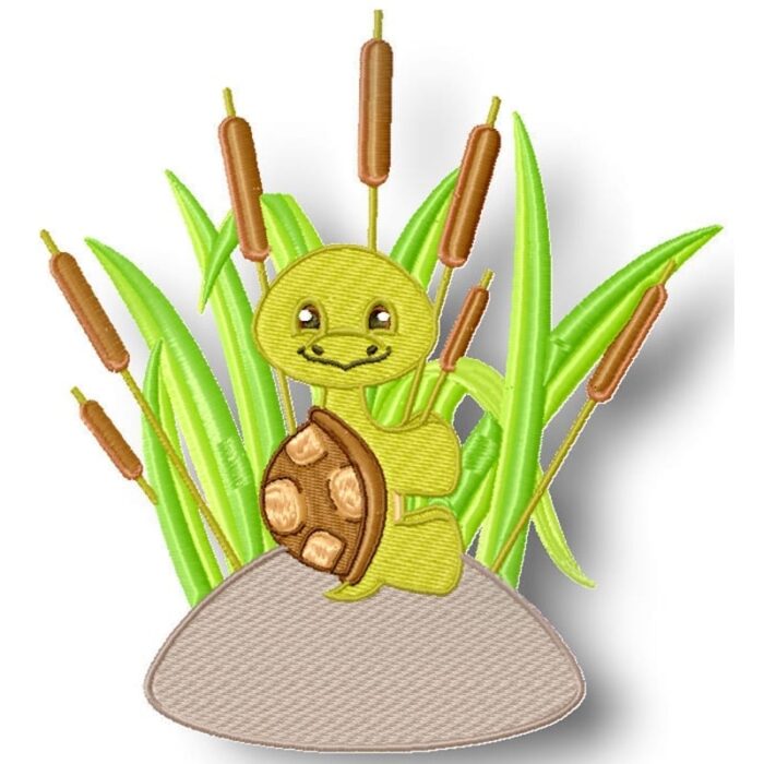 Turtle and Snail