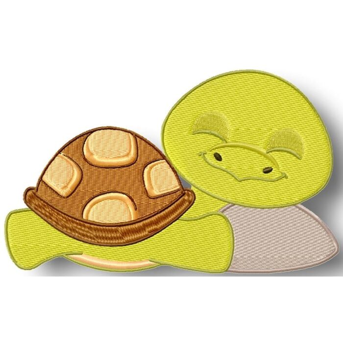 Turtle and Snail