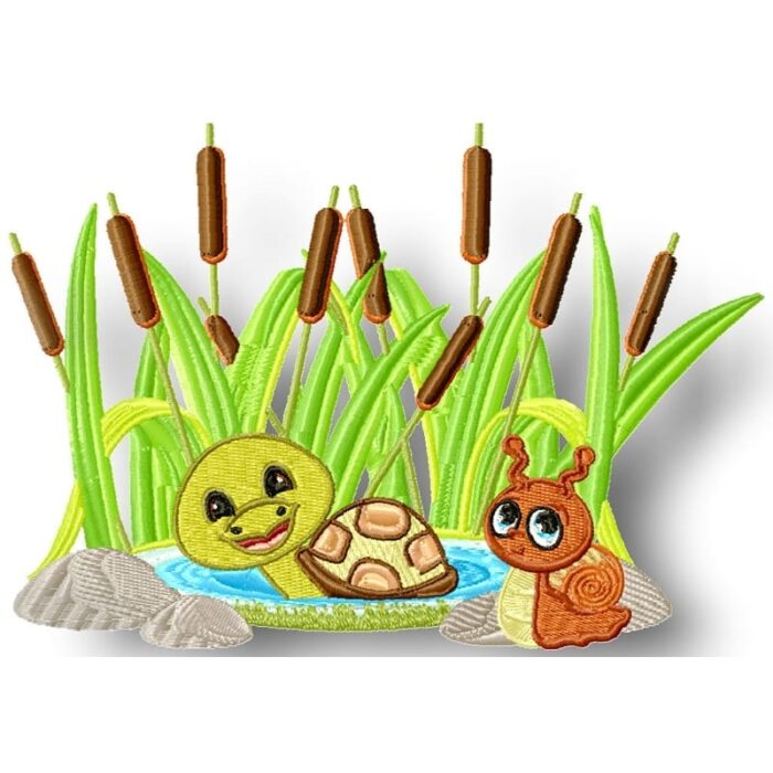 Turtle and Snail