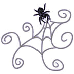 Spiders and Webs