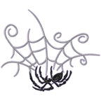 Spiders and Webs