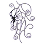 Spiders and Webs
