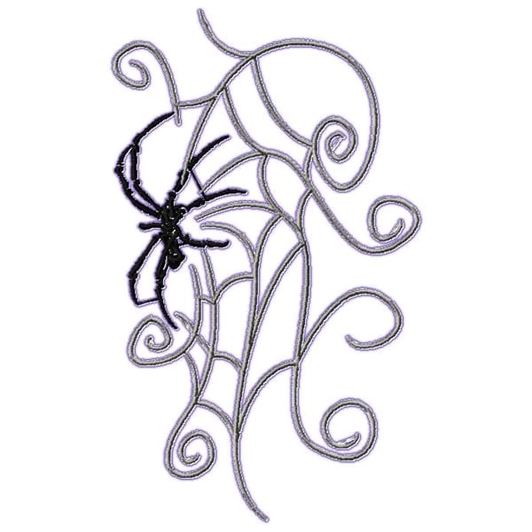 Spiders and Webs