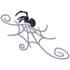 Spiders and Webs