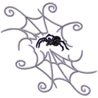 Spiders and Webs