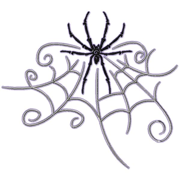 Spiders and Webs
