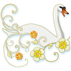 Stylish Swans