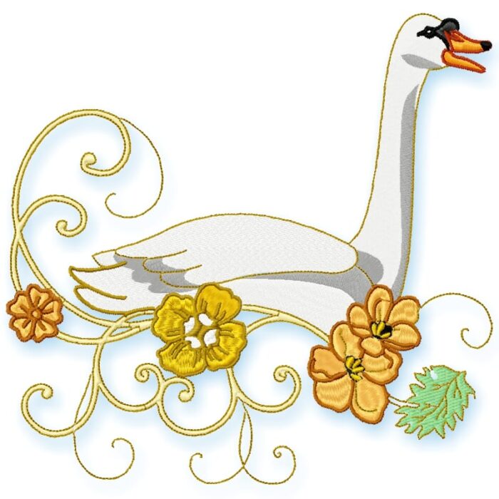 Stylish Swans