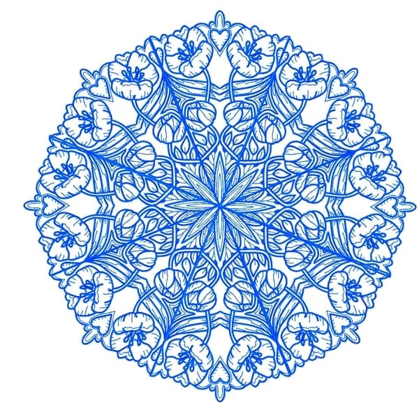 Tulip Doilies