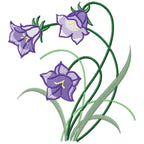 Violet Bell Flower