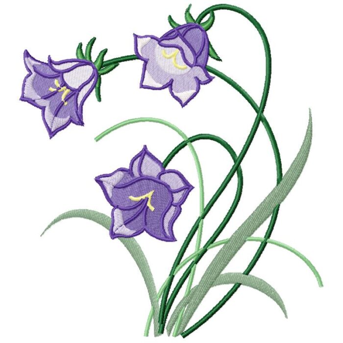 Violet Bell Flower