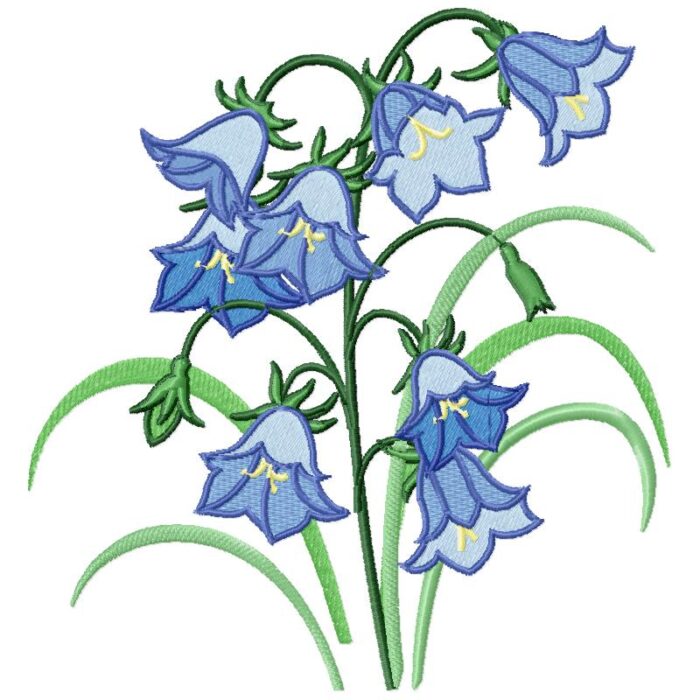 Violet Bell Flower