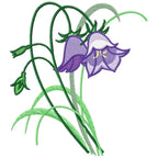 Violet Bell Flower