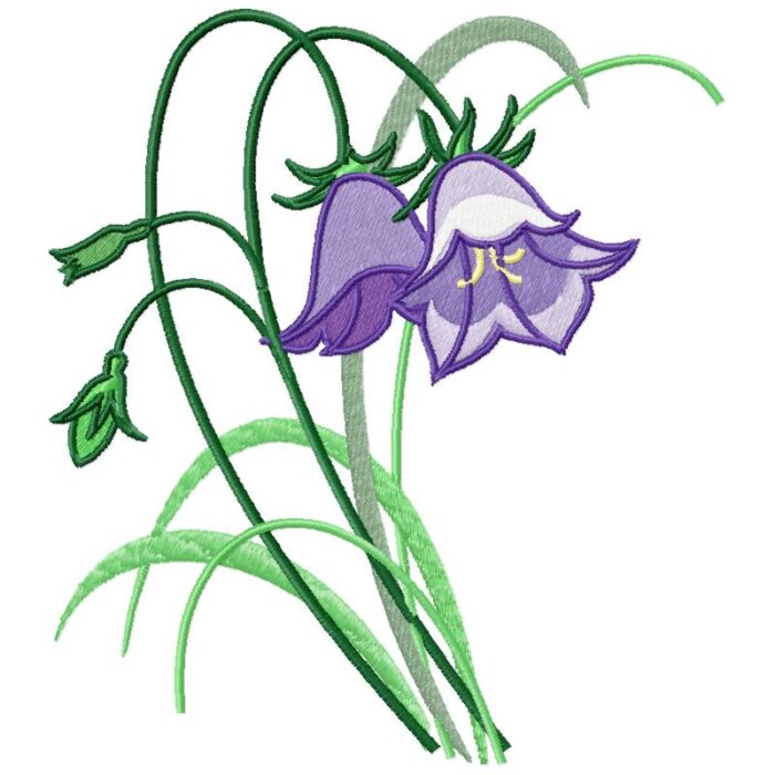 Violet Bell Flower
