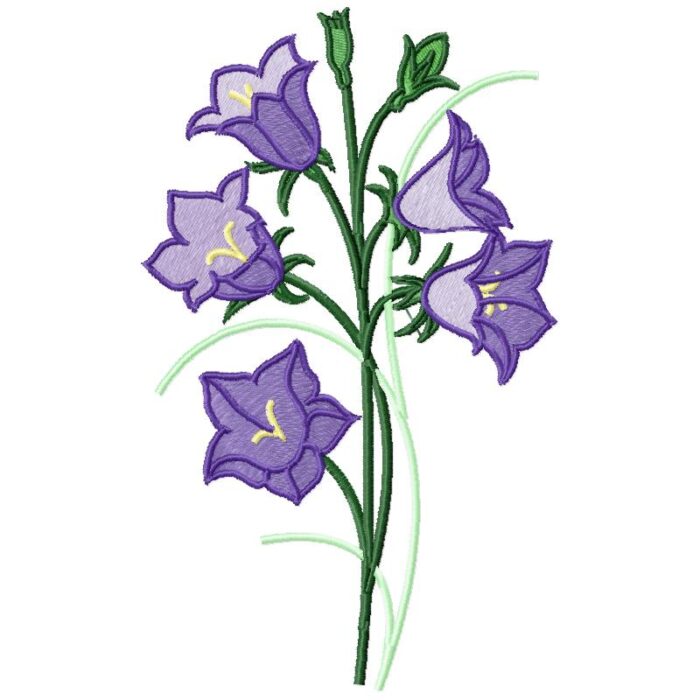 Violet Bell Flower