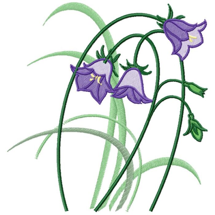 Violet Bell Flower