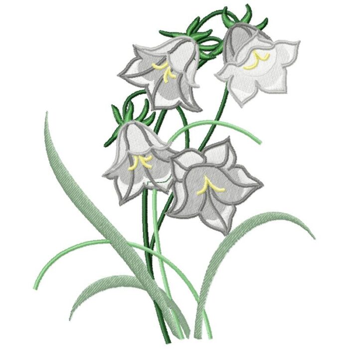 Violet Bell Flower