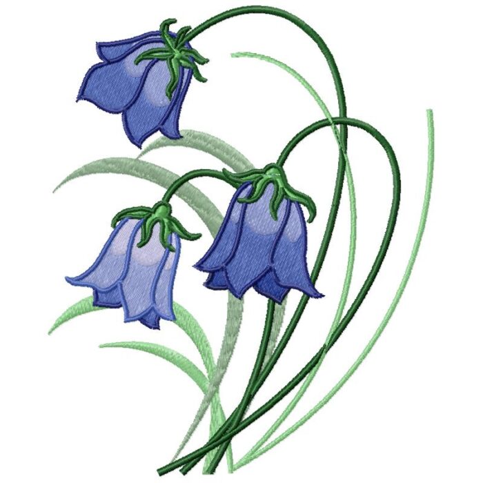 Violet Bell Flower