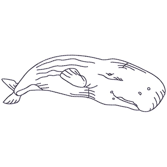 Whales Linework