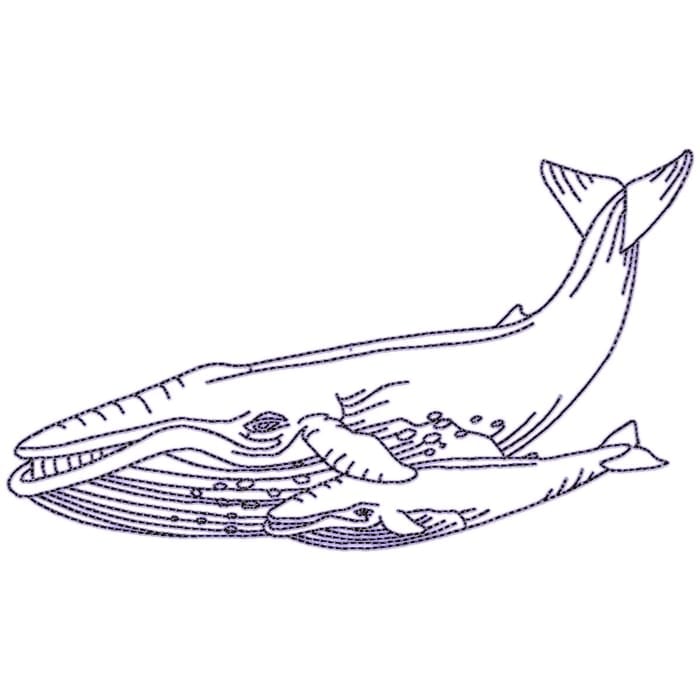 Whales Linework