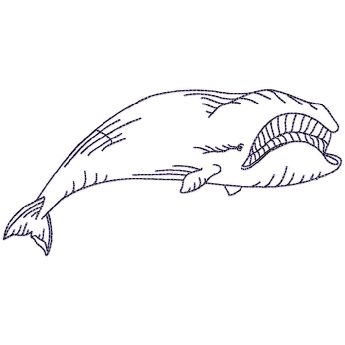 Whales Linework