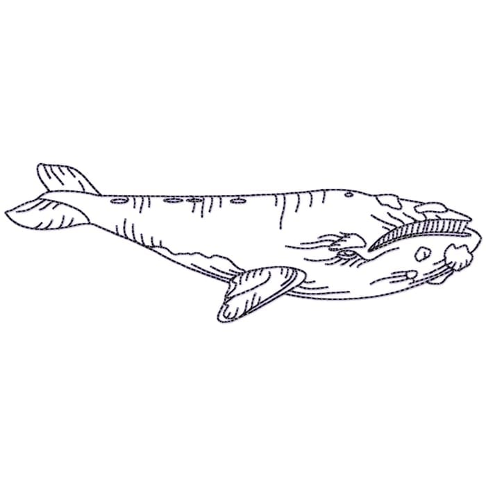 Whales Linework