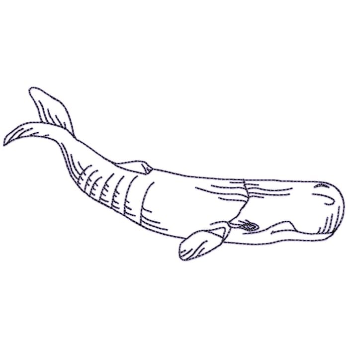 Whales Linework