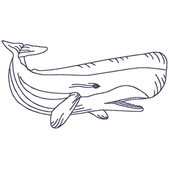 Whales Linework