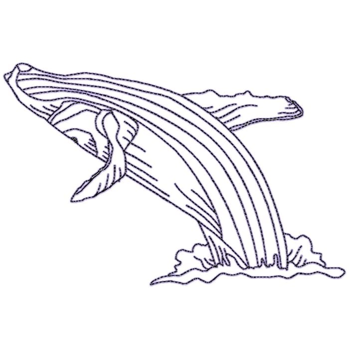 Whales Linework