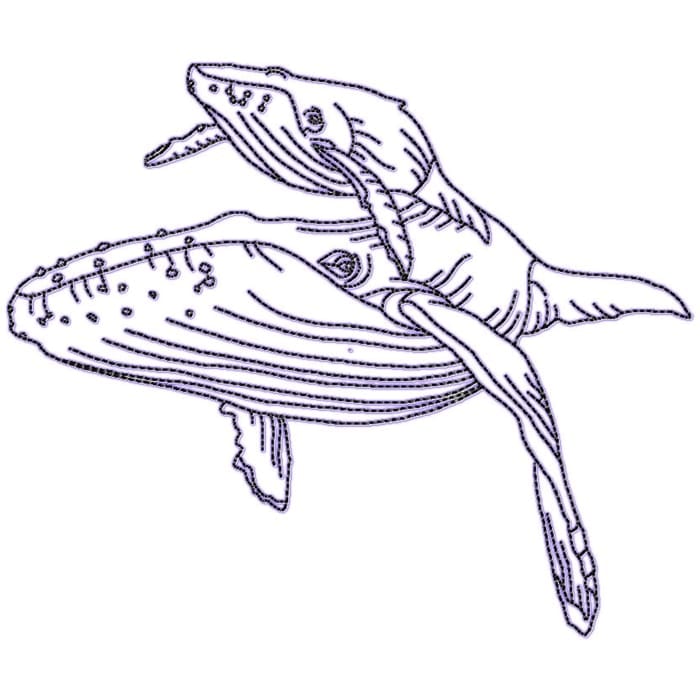 Whales Linework