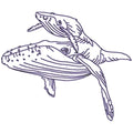 Whales Linework