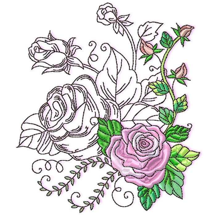 Wonder Rose