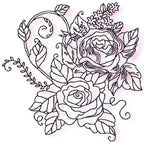 Wonder Rose