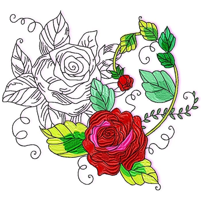 Wonder Rose