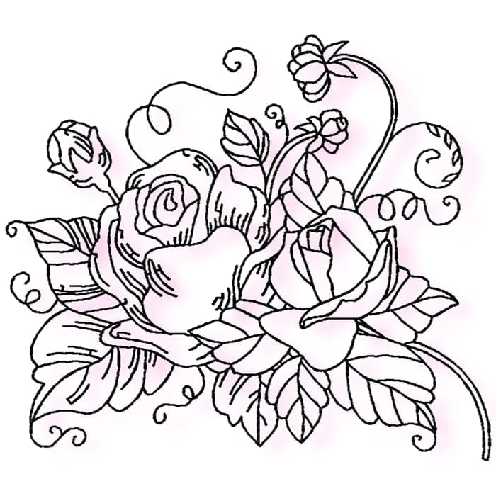 Wonder Rose