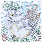 Yellow Belly Tit Bird