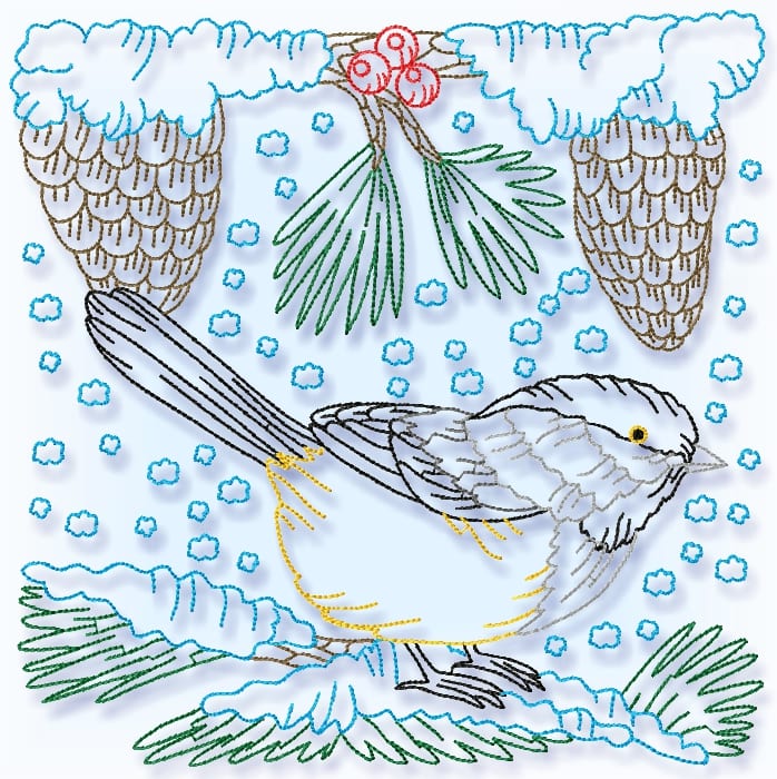 Yellow Belly Tit Bird